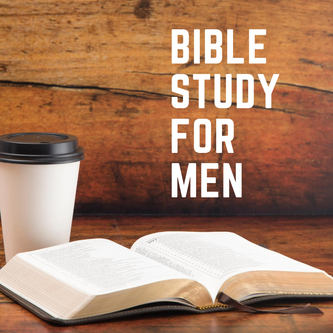 wild at heart mens bible study