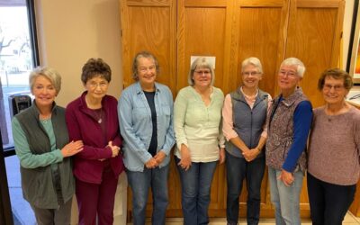 Bible Study Groups